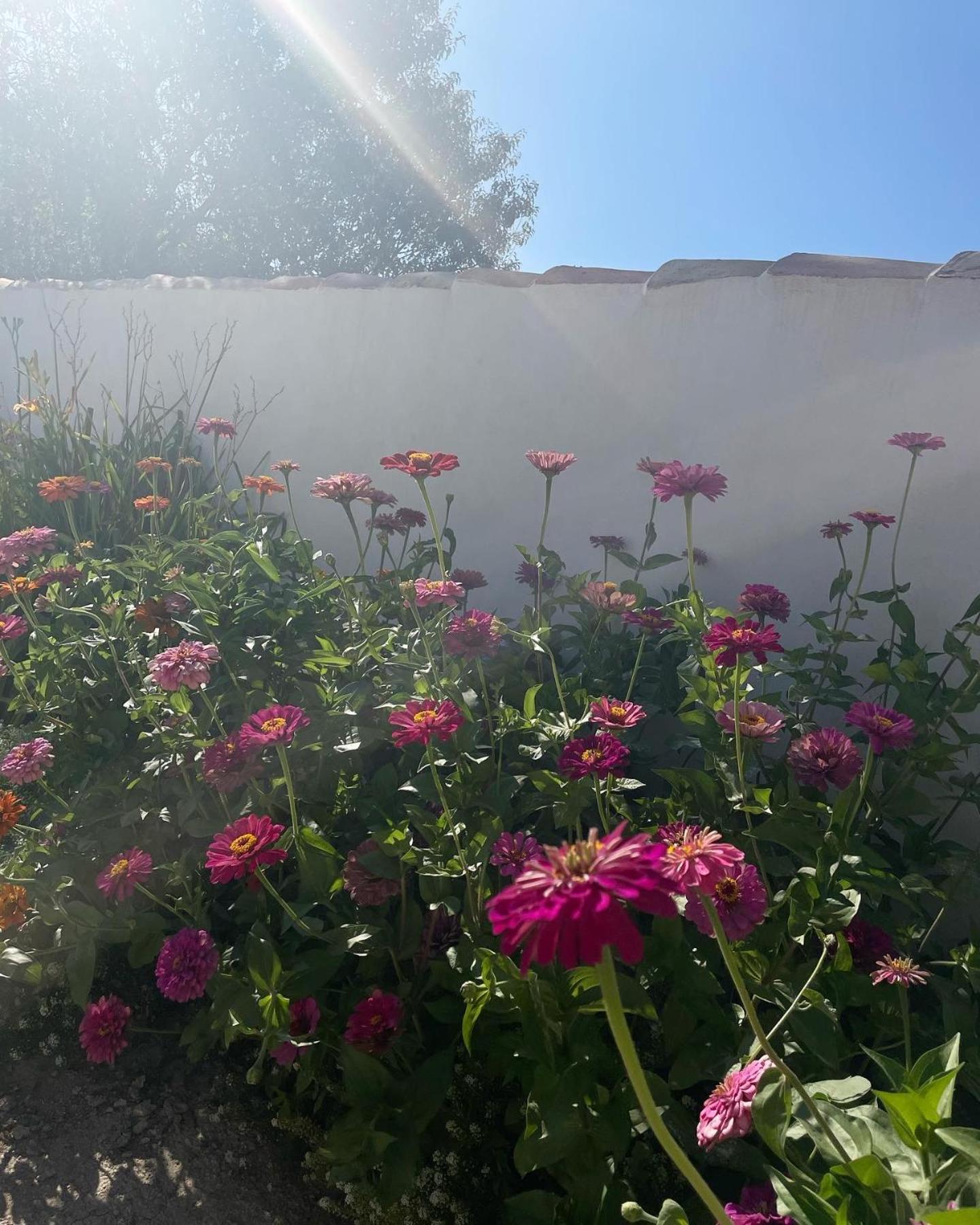 Cortijo El Prado L Villa Castril Exterior photo